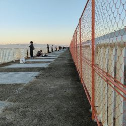 今シーズン4匹目のサゴシ