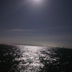 電気ウキ釣り 15