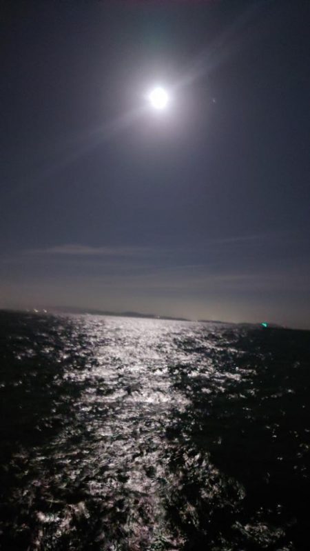 電気ウキ釣り 15