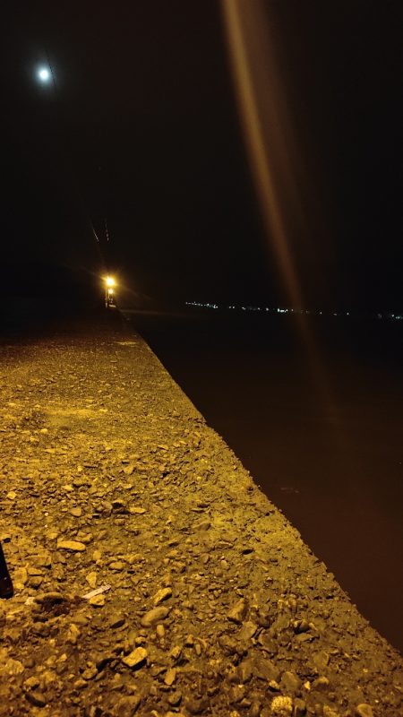 引き続きアジ調査