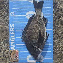 昼からのんびりふかせ釣り🎣