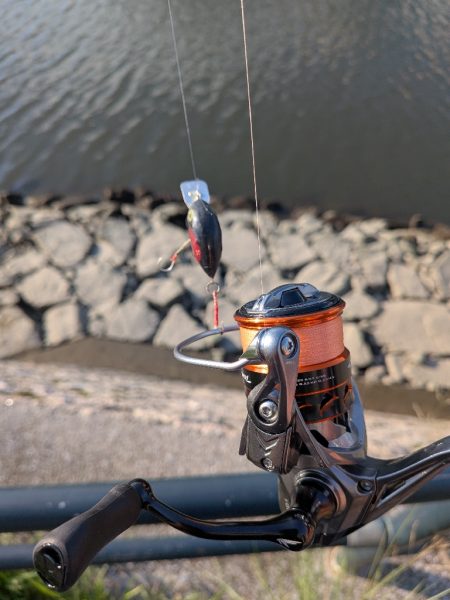 ハゼとハゼの親玉広島ハゼゲー