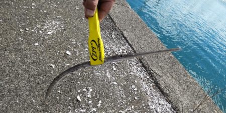 アジ探し@中紀～南紀