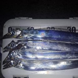 久しぶりに3連発