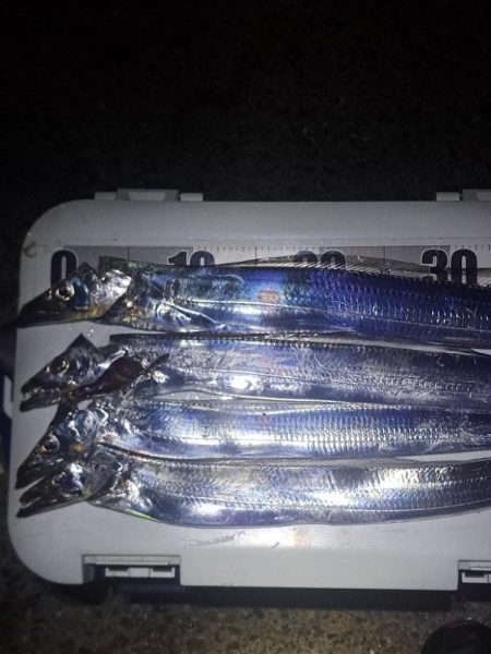 久しぶりに3連発