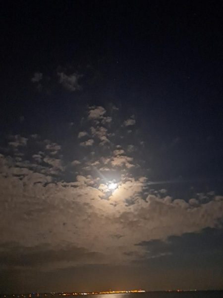 いつもと違う魚影