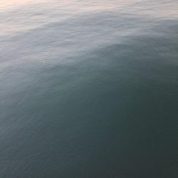 太刀魚不在でサビキ釣り