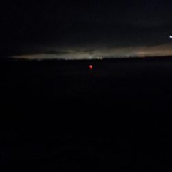 雨でも魚影濃いカゴ釣り