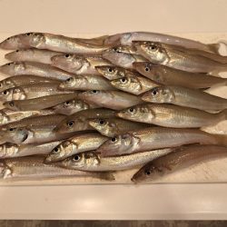 落ちキスが最高