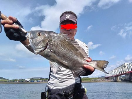 チヌとメッキが釣れました!