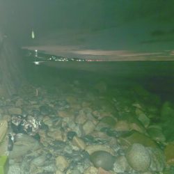 久しぶりのフロートアジング🎣