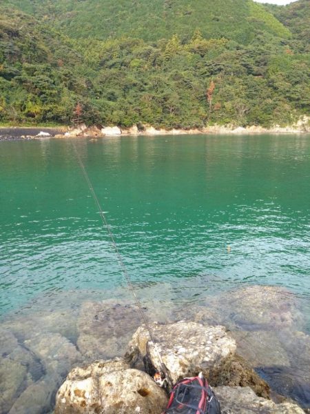 ハモ、グレ、ガシラ