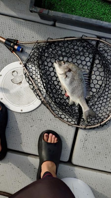 今季初のライトジギング