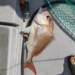 今季2度目のライトジギング