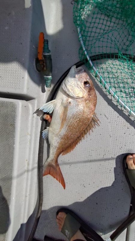 今季2度目のライトジギング