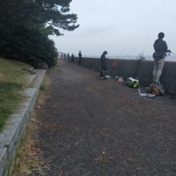 台風22号と23号のはざまで