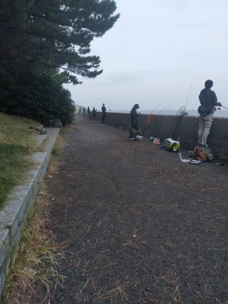 台風22号と23号のはざまで