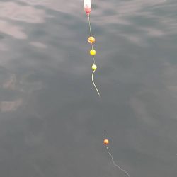 いろんな釣り方で五目釣り