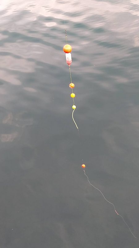 いろんな釣り方で五目釣り