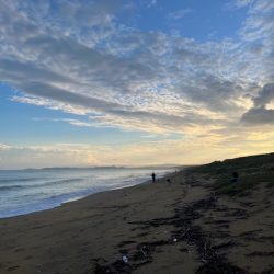 今季はなかなか来ない新松原海岸での投げ釣りです