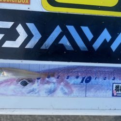 唐津の浜に行ってみました