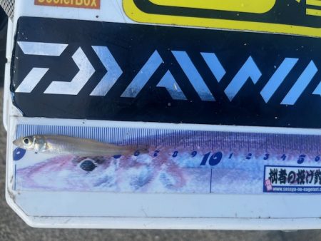 唐津の浜に行ってみました