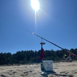 今日も唐津の浜で投げてみました