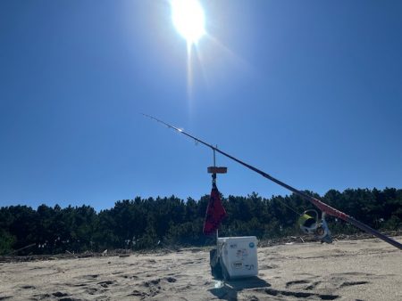 今日も唐津の浜で投げてみました