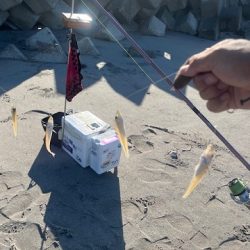 吹上浜で久しぶりに投げ釣りしました