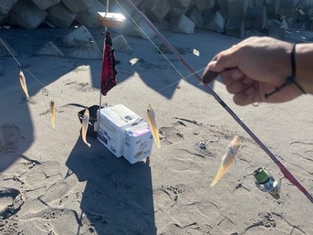 吹上浜で久しぶりに投げ釣りしました