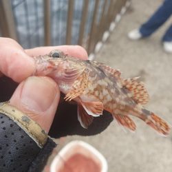 フカセ釣りで強烈な引き！