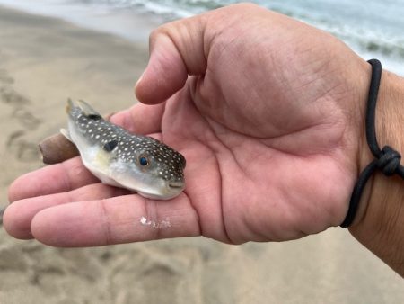 大会の下見で釣ってみました