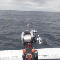 完全フカセ第2戦〜倉丸〜