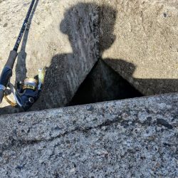 とりあえずアオリ6回目