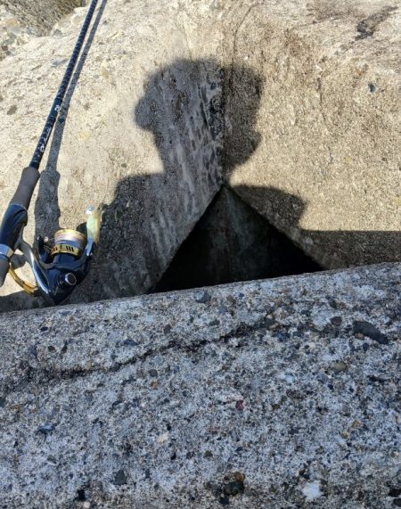 とりあえずアオリ6回目