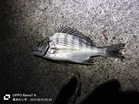 久しぶりの淡路島