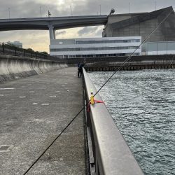 釣果も天気も寒い