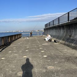 サビキはまだいける