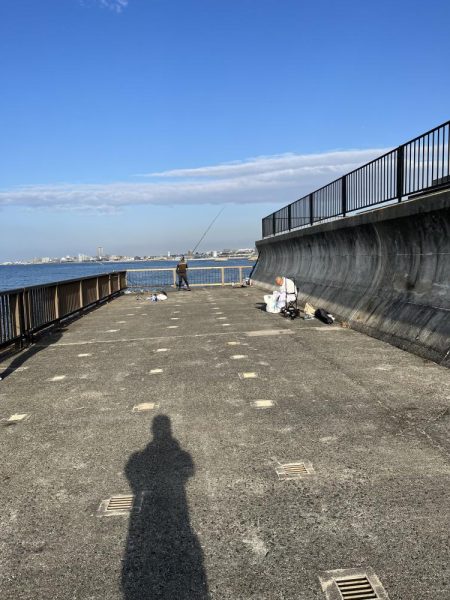 サビキはまだいける