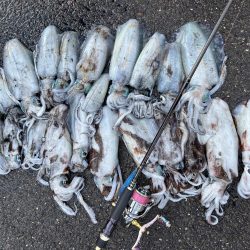 エギング　佐渡遠征⑤