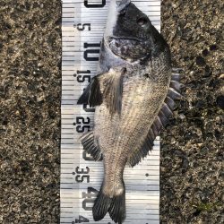 イチノ兄弟、釣果!