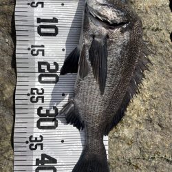 イチノ兄弟、釣果！