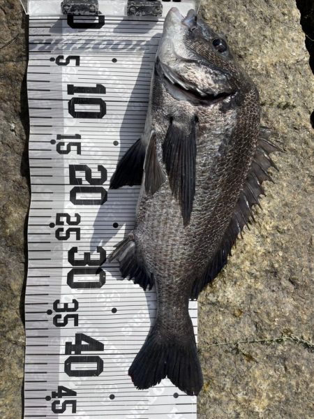 イチノ兄弟、釣果！