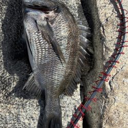 イチノ兄弟、釣果！