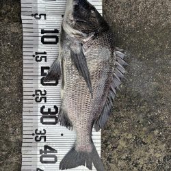 イチノ兄弟、釣果!