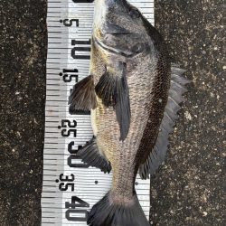 イチノ兄弟、釣果！