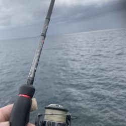 2025 佐渡ヶ島エギング Vol.29【10月12日】