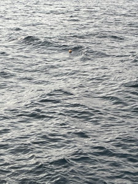 2025 佐渡ヶ島エギング Vol.30【10月15日】