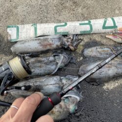 2025 佐渡ヶ島エギング Vol.33【10月18日】