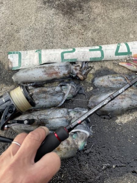 2025 佐渡ヶ島エギング Vol.33【10月18日】